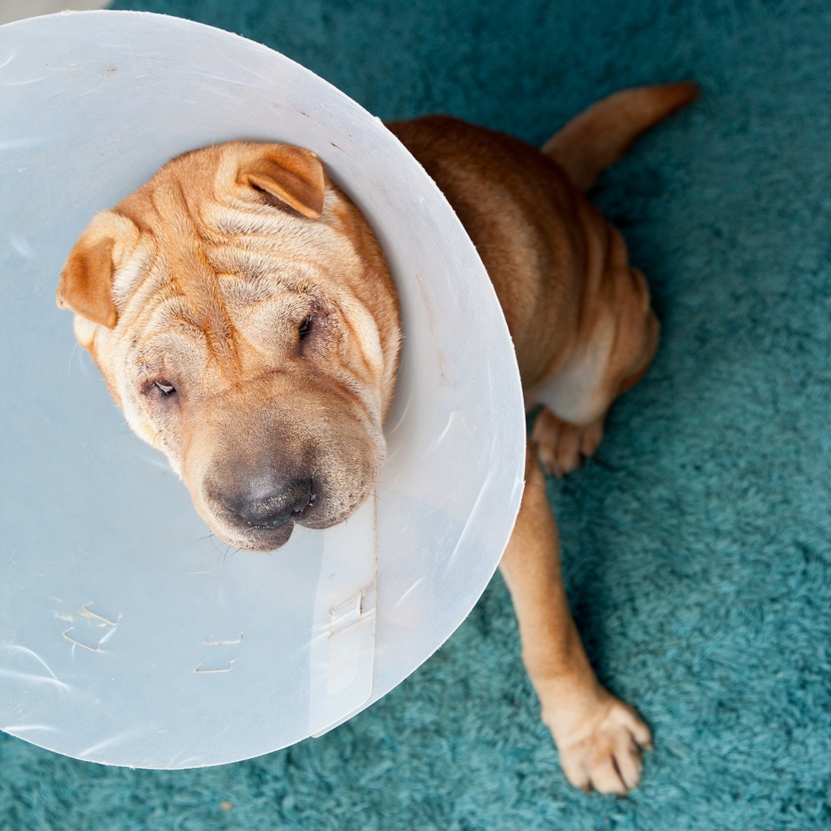 Surgery Miamisburg, OH